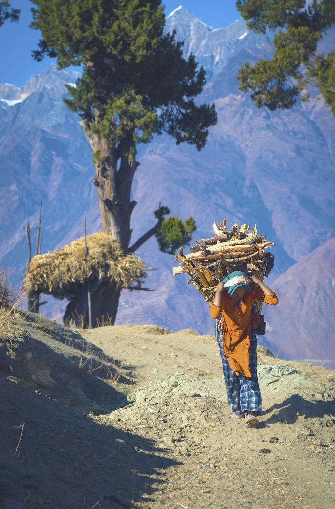 A woman carrying woods for a household works