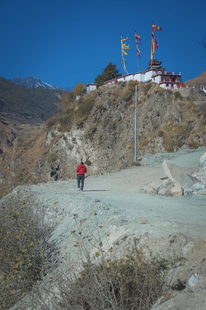 a traveler on the way to tripura sundari